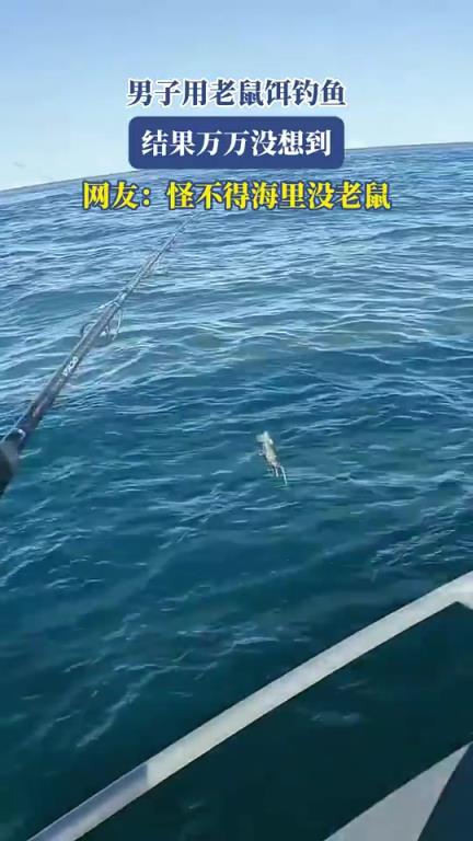男子用老鼠饵钓鱼，结果万万没想到