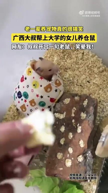 老一辈养宠物真的很搞笑！广西大叔帮上大学的女儿养仓鼠