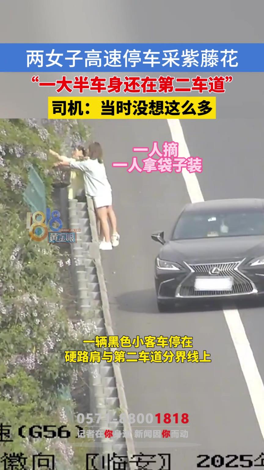 两女子高速停车采紫藤花 “一大半车身还在第二车道”