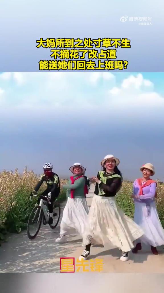 大妈不摘花改跳舞，文明行为获点赞