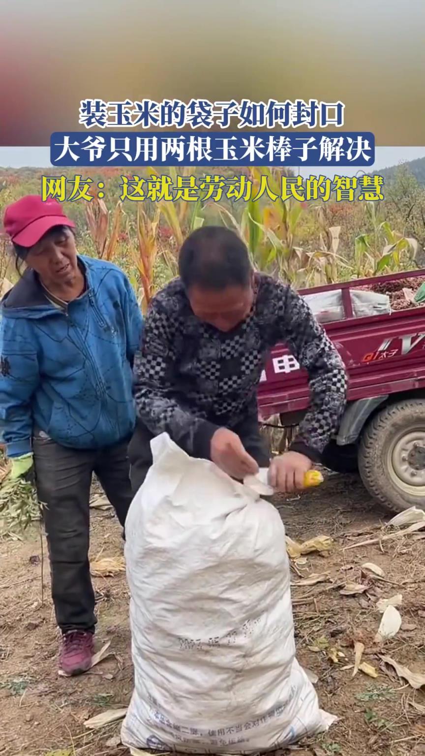 装玉米的袋子如何封口，大爷只用两根玉米棒子解决
