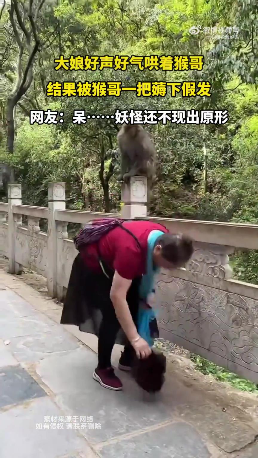 大娘好声好气哄着猴哥，结果被猴哥一把薅下假发