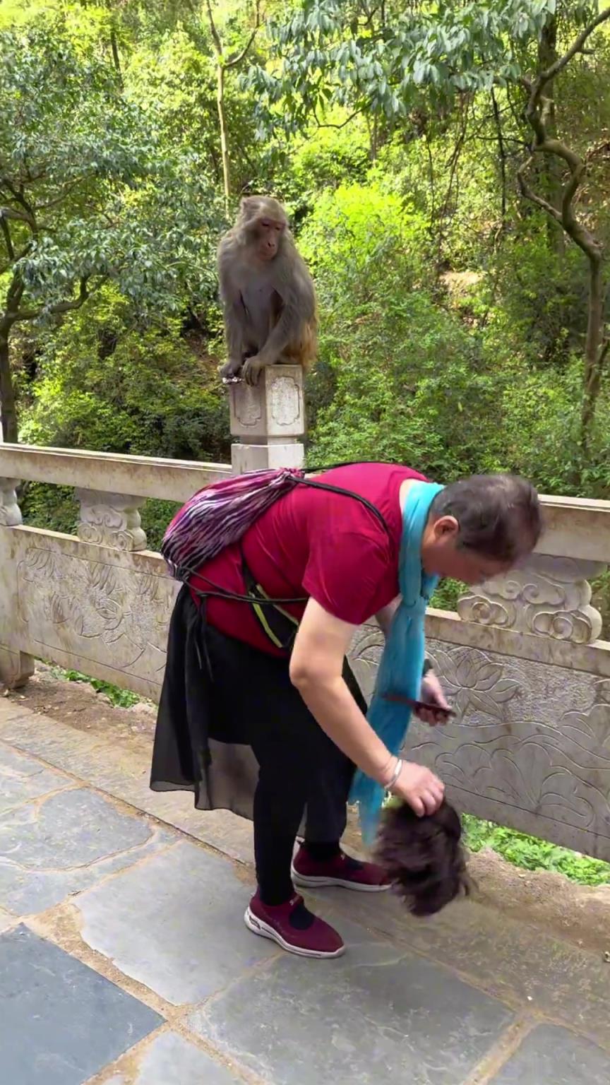 猴哥：妖怪，还不快快现出原型！！！