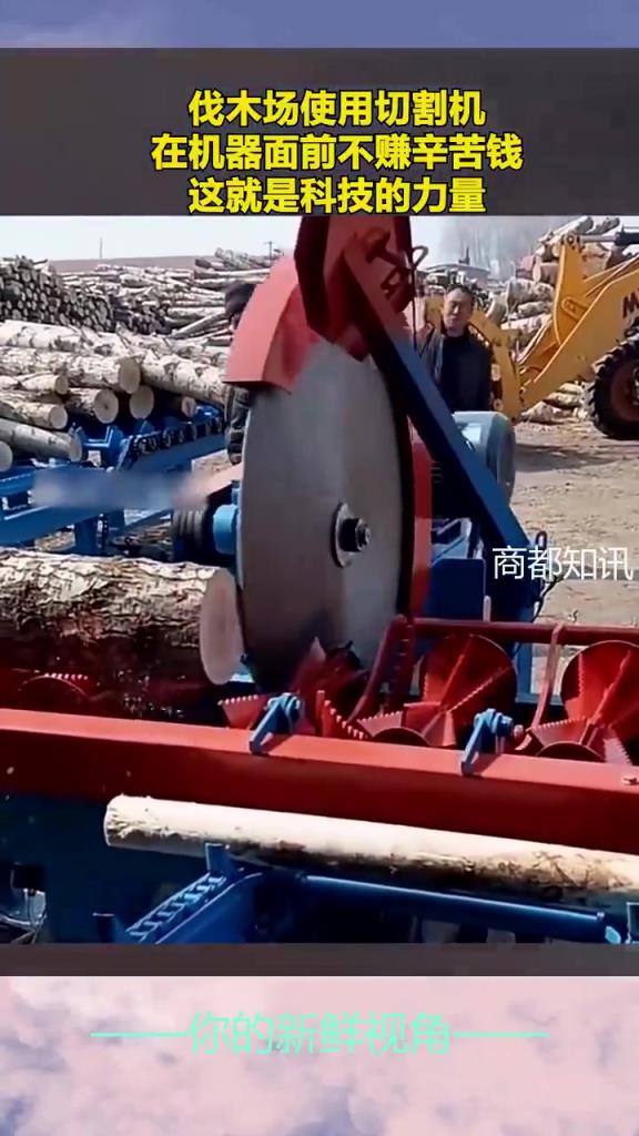 伐木场使用切割机，在机器面前不赚辛苦钱，这就是科技的力量