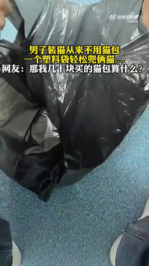 男子装猫从来不用猫包，一个塑料袋轻松兜俩猫
