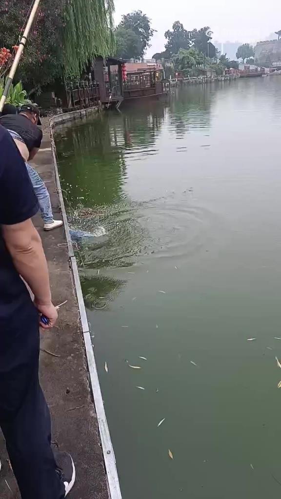 就這一下子，桃源三結義都得散伙