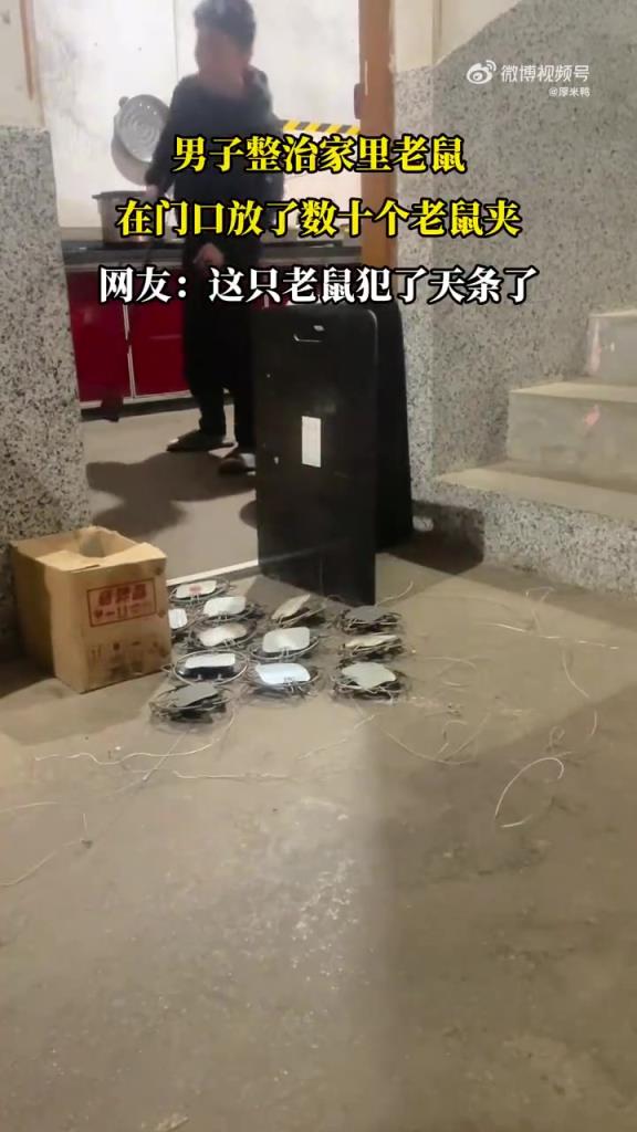 男子整治家里老鼠，在门口放了数十个老鼠夹！