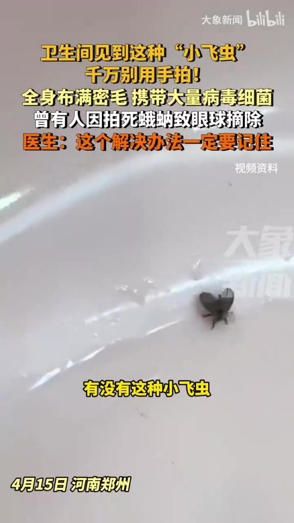 衛生間見到這種小飛蟲千萬別用手拍！曾有人因拍死致眼球摘除