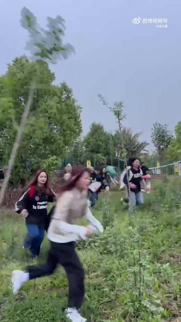 成都春游音乐节，一群人无视工作人员阻拦从“狗洞”逃票被拍下来