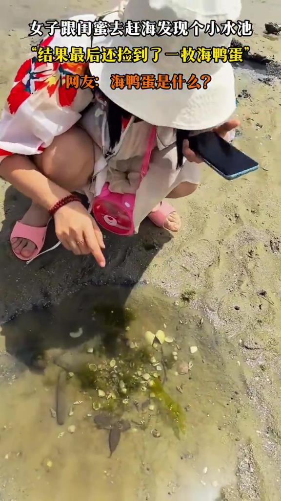 女子跟闺蜜去赶海发现个小水池，“结果最后还捡到了一枚海鸭蛋”