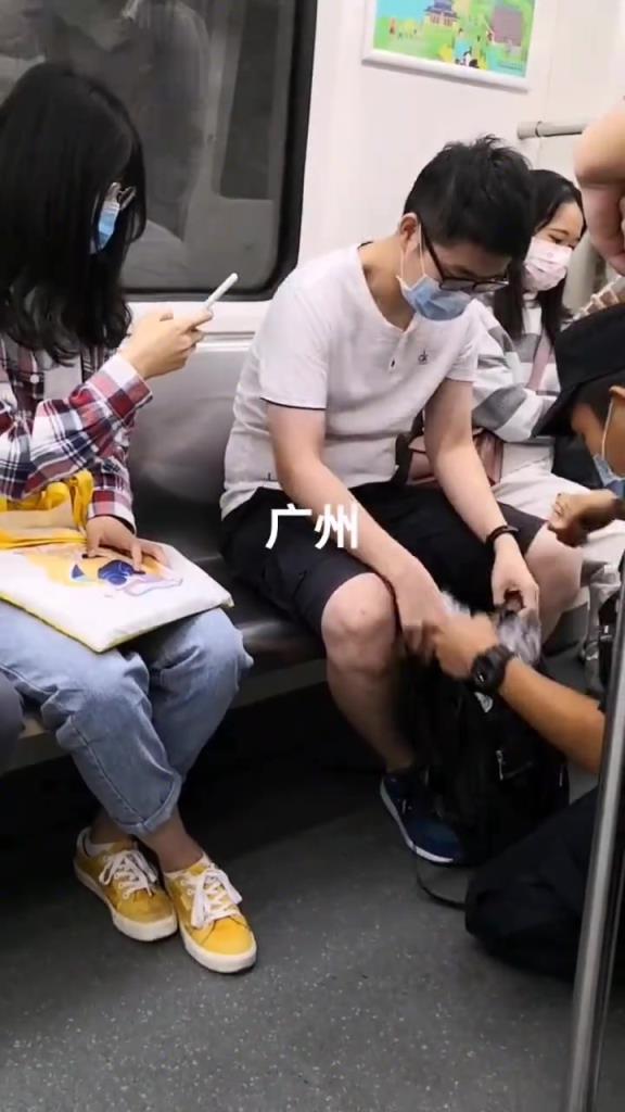 地铁上把东西藏到乘客的背包里，警犬精准无误的找到了！