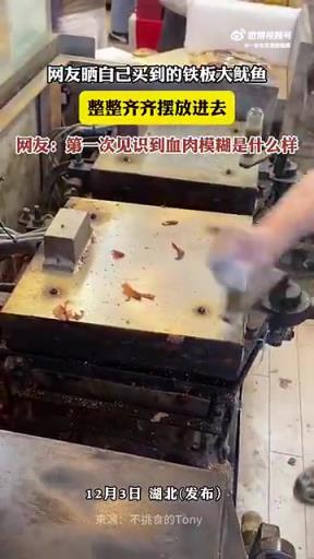 网友晒买到的铁板大鱿鱼，称首次见识“血肉模糊”