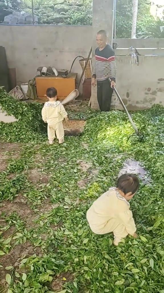 这家长心真大，如果俩孩子掉下去会怎么样？