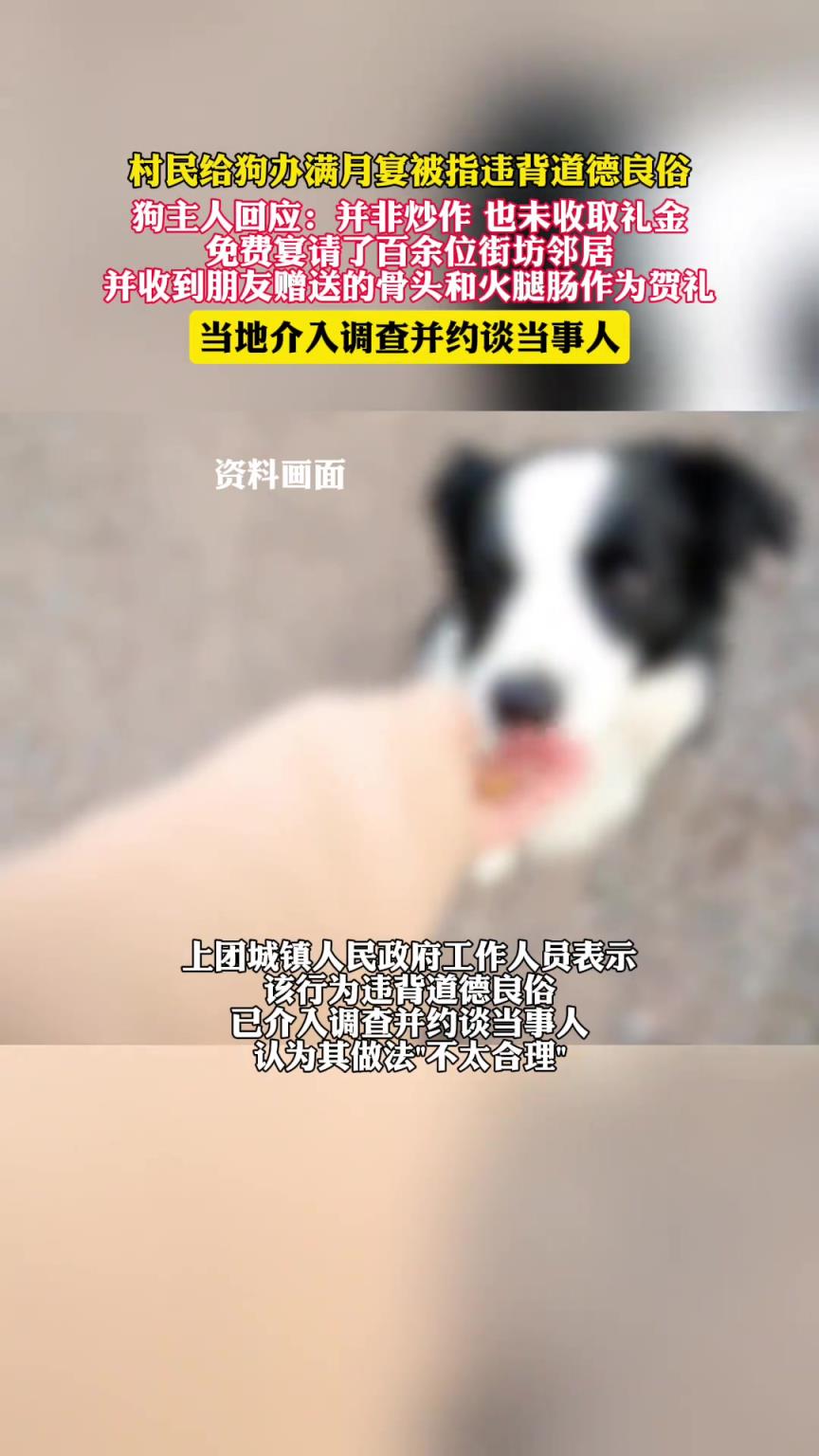 村民给狗办满月宴被指违背道德良俗，当地介入调查并约谈当事人