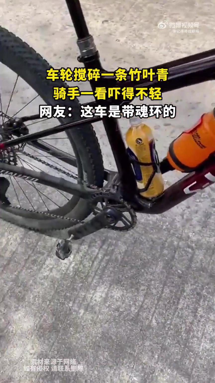 车轮搅碎一条竹叶青,骑手一看吓得不轻!!!