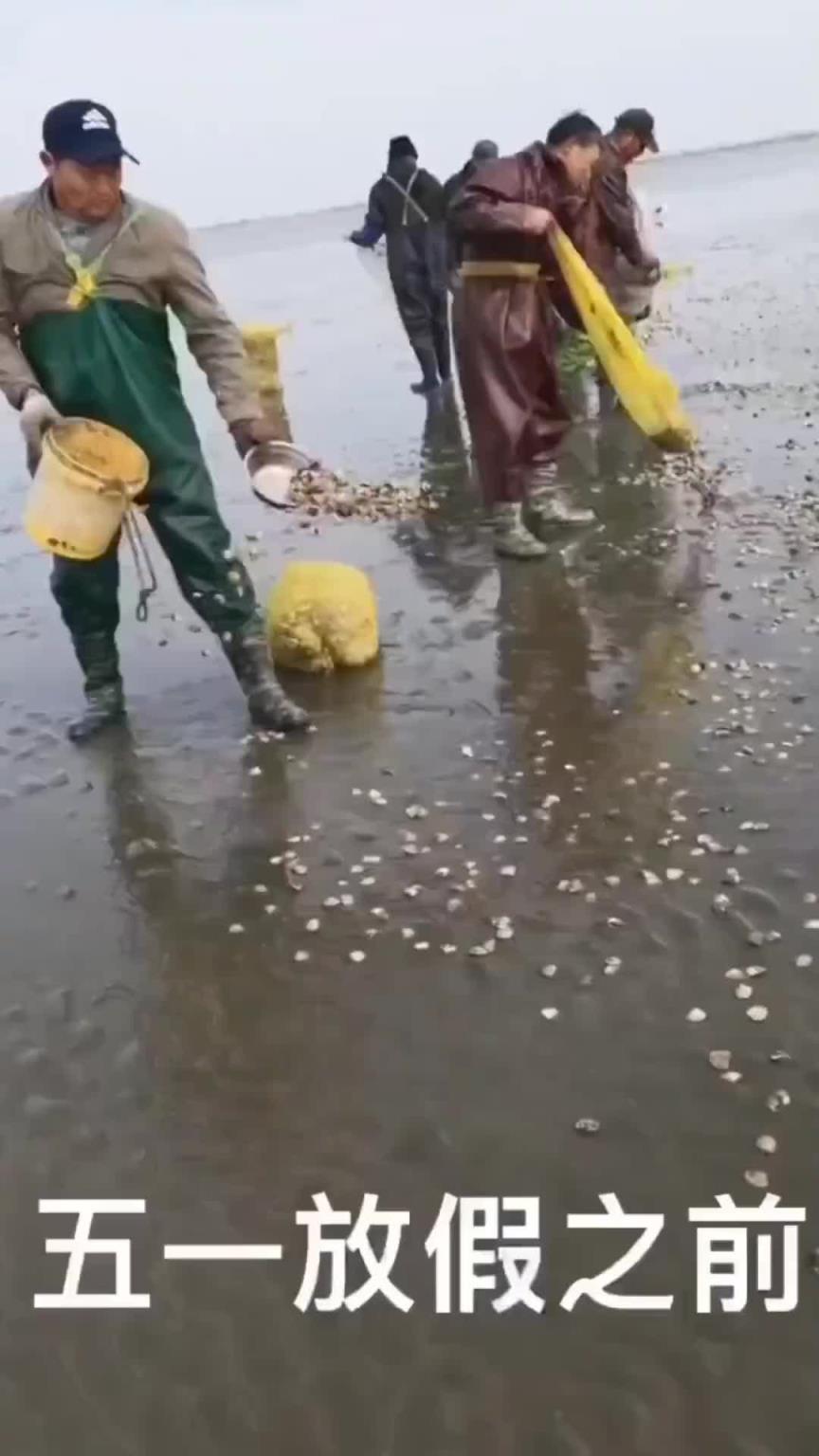 你撒你的，我们挖我们的