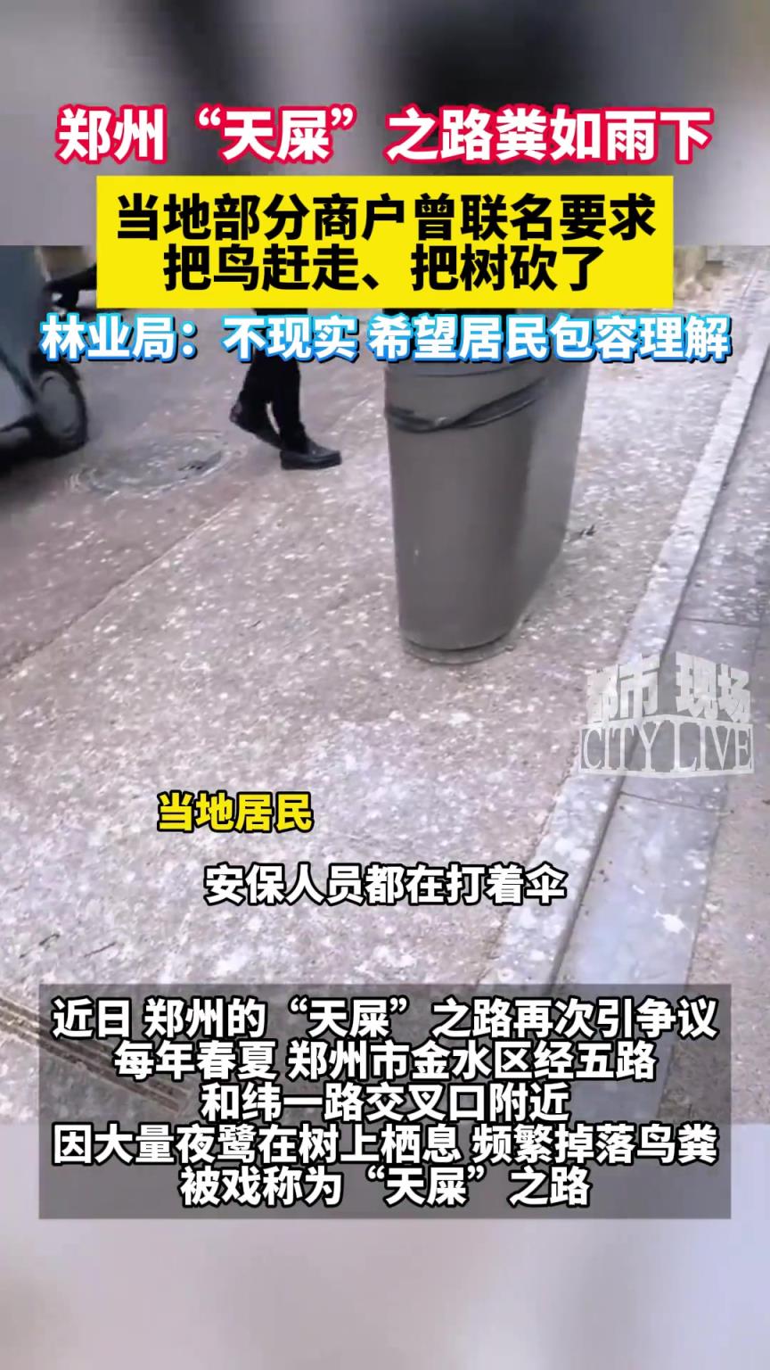 郑州“天屎”之路粪如雨下，部分商户曾联名提议要求把鸟赶走
