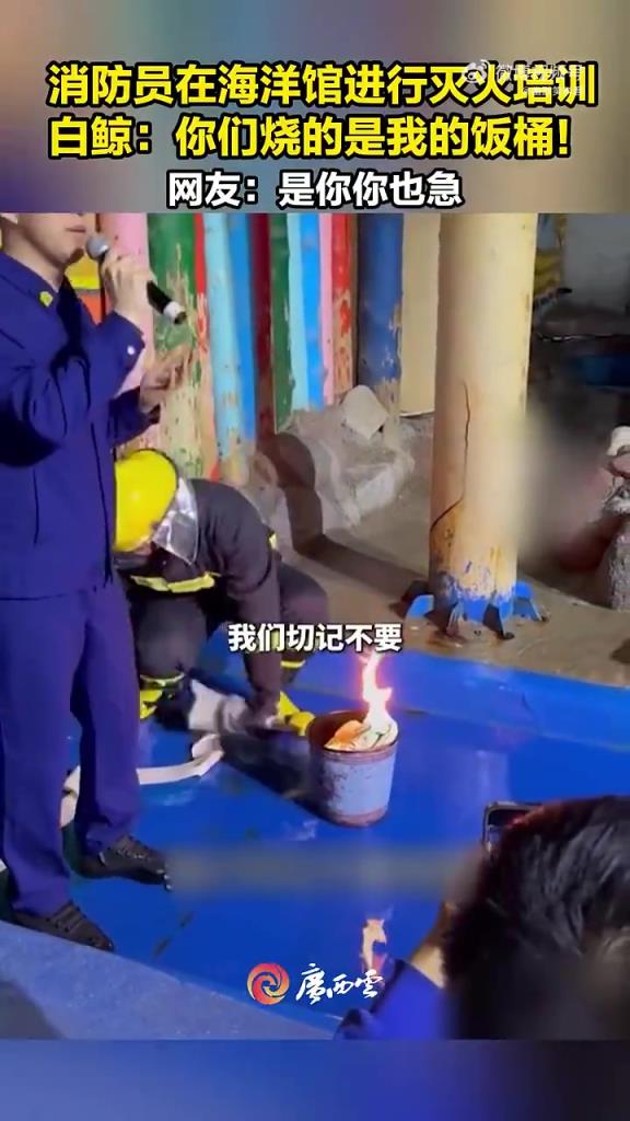 消防员海洋馆灭火培训，白鲸 “喷水” 似抗议