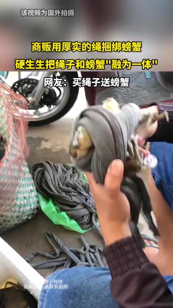 商販用厚實的繩捆綁螃蟹,硬生生把繩子和螃蟹融為一體!!