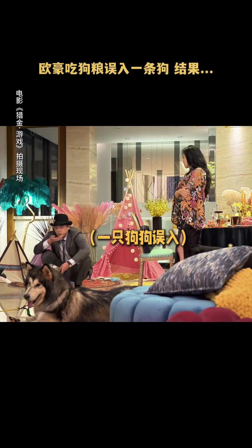歐豪 演藝生涯最大的挑戰(zhàn)竟然是一條狗