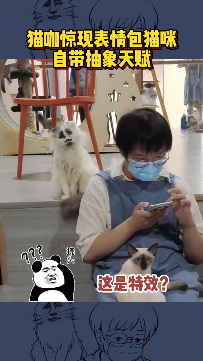 有些動(dòng)物天生就是主角！