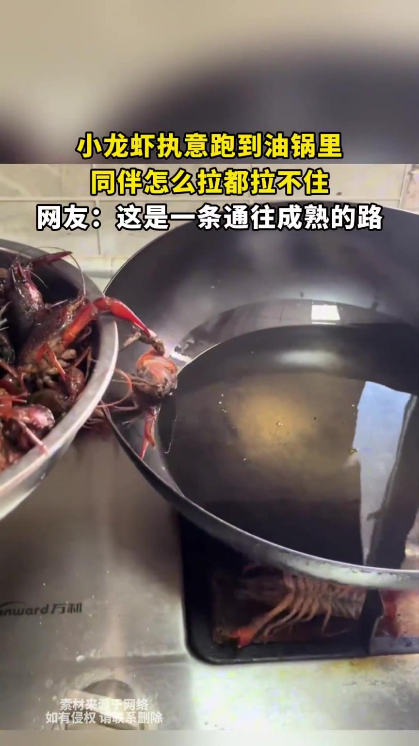 小龍蝦執(zhí)意跑到油鍋里，同伴怎么拉都拉不住