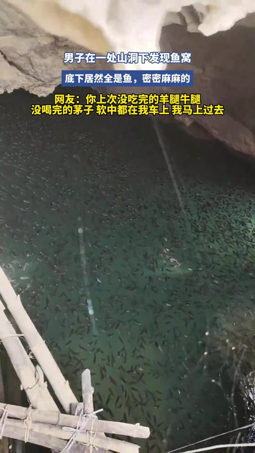 男子在一处山洞下发现鱼窝，底下居然全是鱼，密密麻麻的