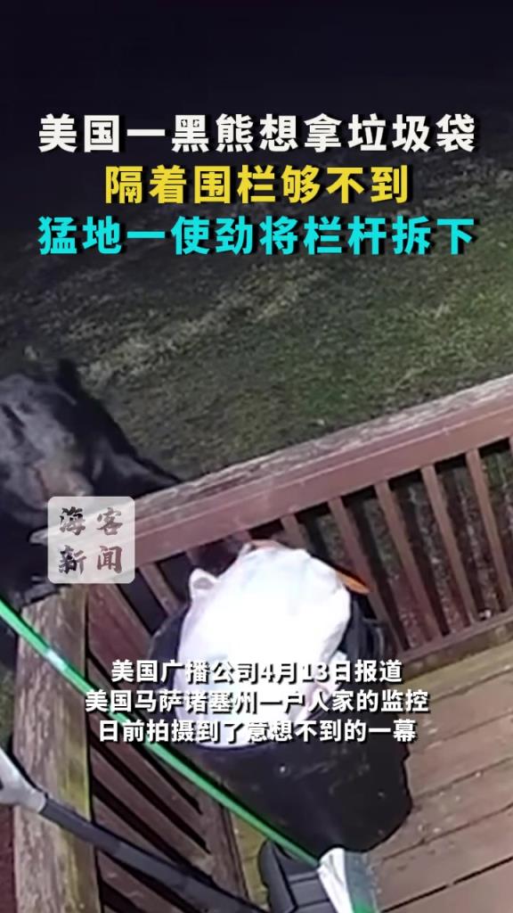 美國一黑熊想拿垃圾袋：隔著圍欄夠不到 猛地一使勁將欄桿拆下