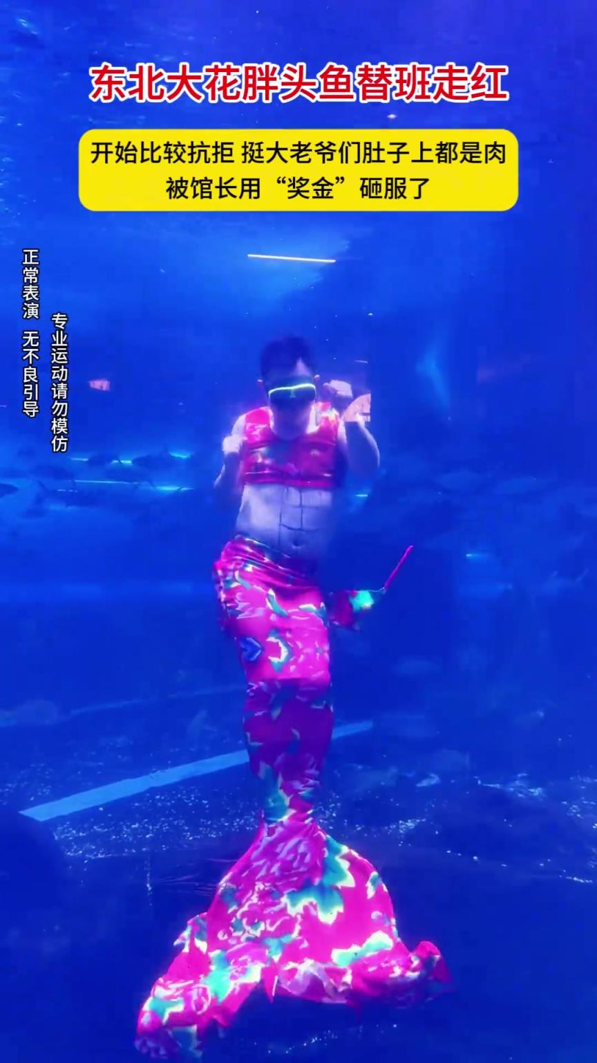 東北大花胖頭魚替班走紅， 一點都看不出來你拒絕的樣！