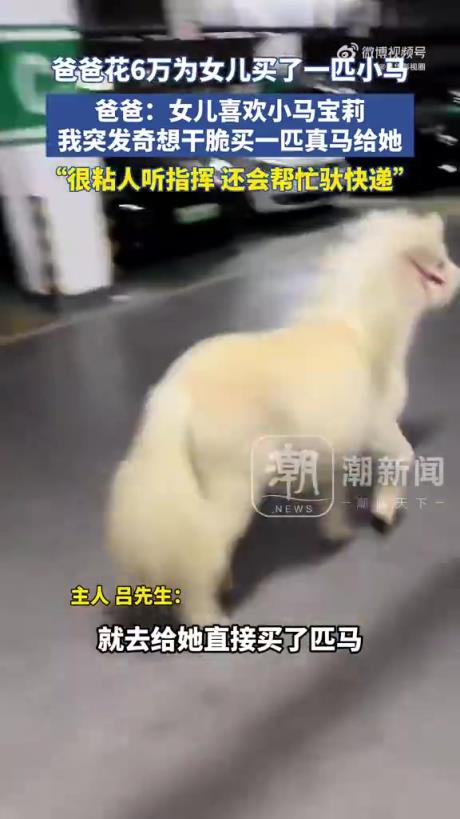 這玩意拉屎不分地方場合。不適合在城里養(yǎng)