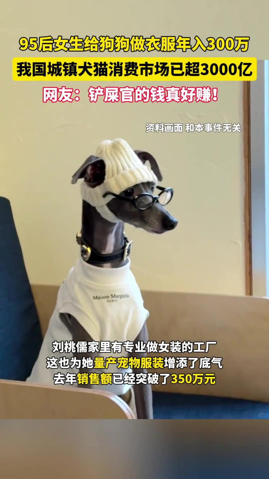 95后女生给宠物做衣服年入300万，网友：铲屎官的钱真好赚！