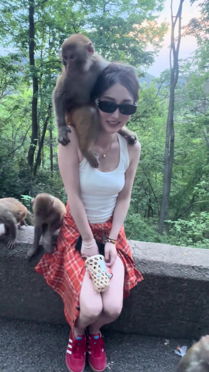 到底是哪些人，喜歡花錢到這里找罪受？