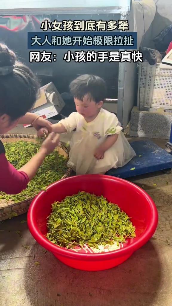 小女孩太犟与大人极限拉扯，网友：这脾气随谁？