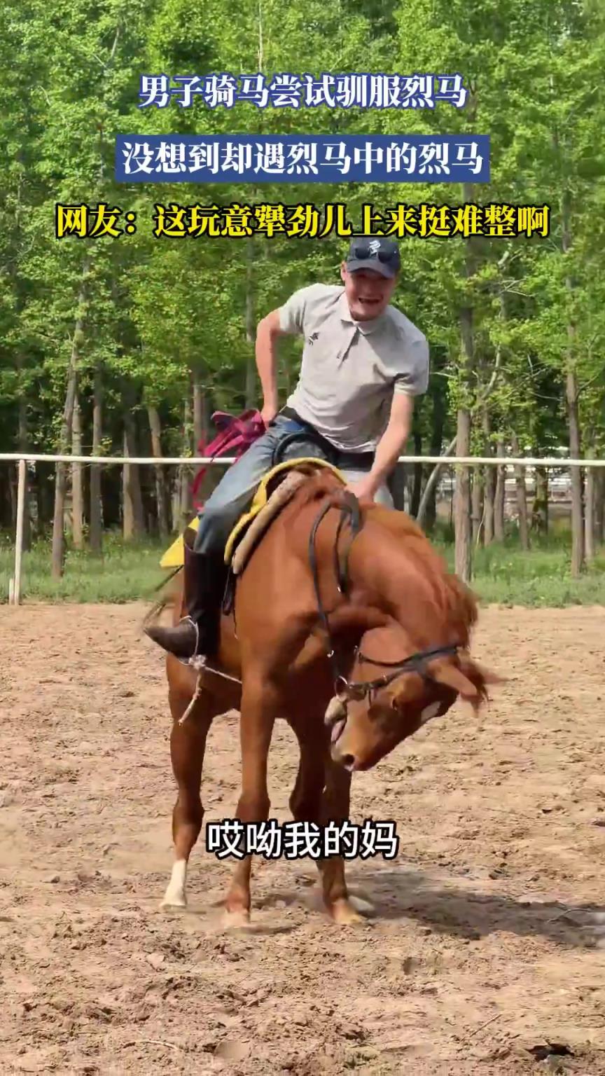 男子骑马尝试驯服烈马，没想到却遇烈马中的烈马