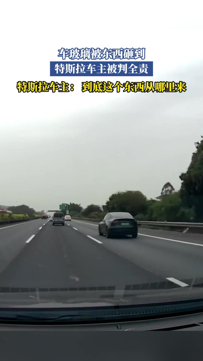 車玻璃被東西砸到 特斯拉車主被判全責(zé)