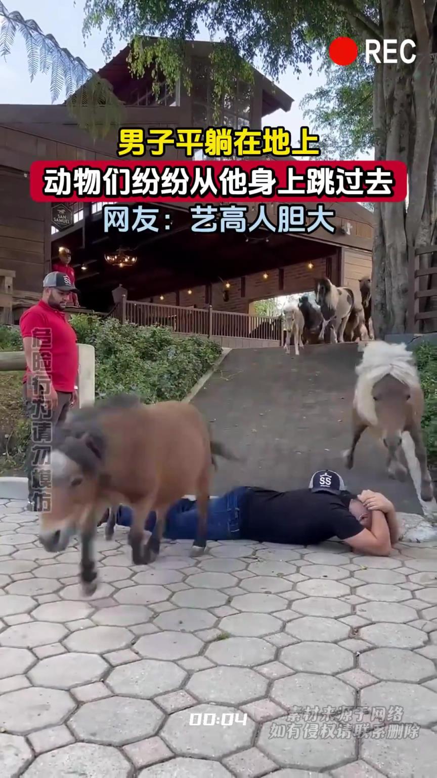 男子平躺在地上，動物們紛紛從他身上跳過去，網(wǎng)友：藝高人膽大