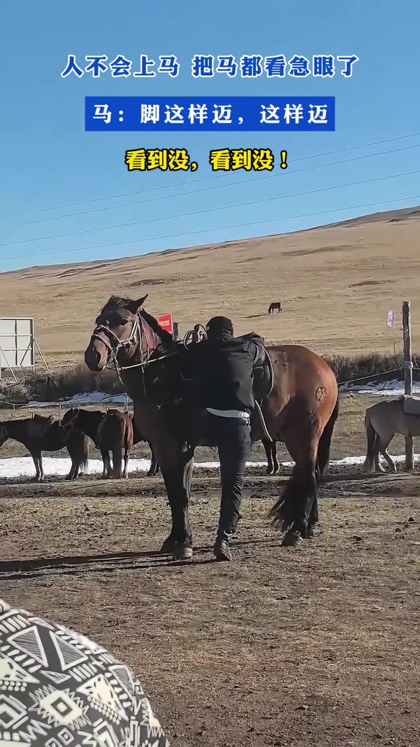 人不会上马，把马都看急眼了，马：脚这样迈，看到没，看到没！