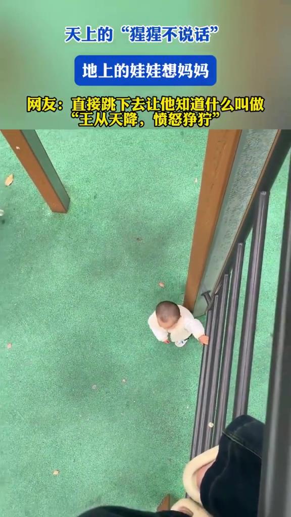天上的“猩猩不說話”，地上的娃娃想媽媽