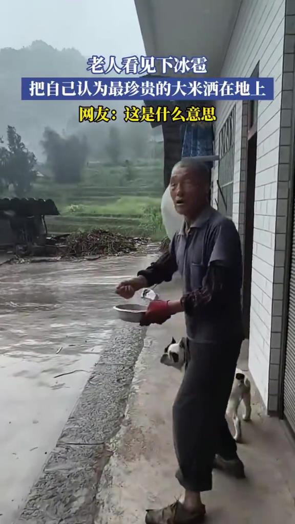 老人看見下冰雹，把自己認(rèn)為最珍貴的大米灑在地上