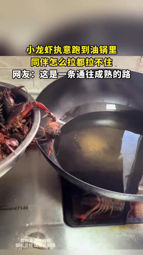 小龙虾执意跑到油锅里，同伴怎么拉都拉不住！