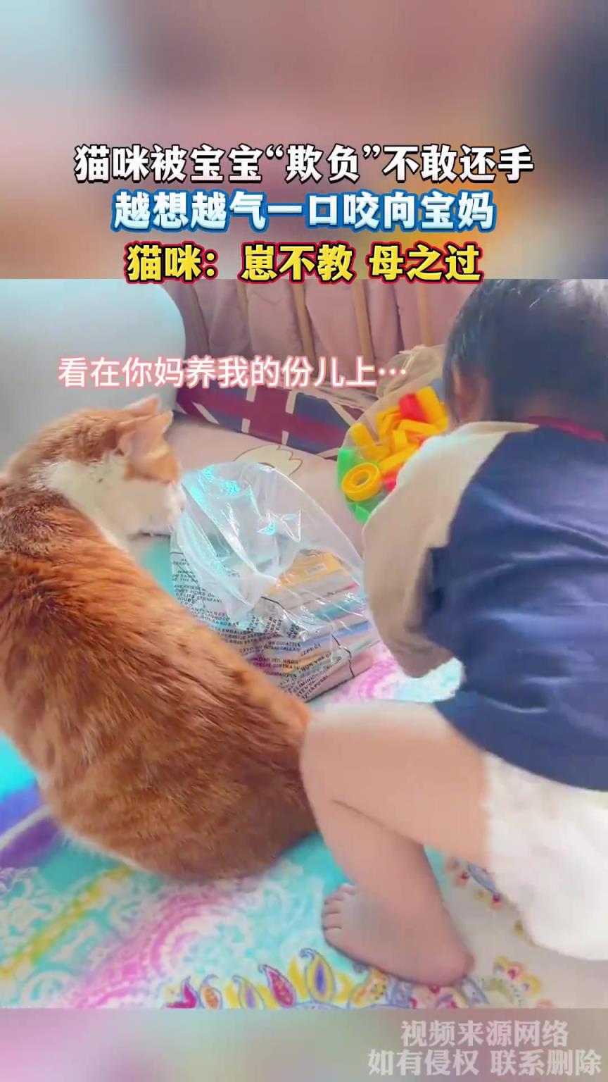 貓咪：崽不教 母之過
