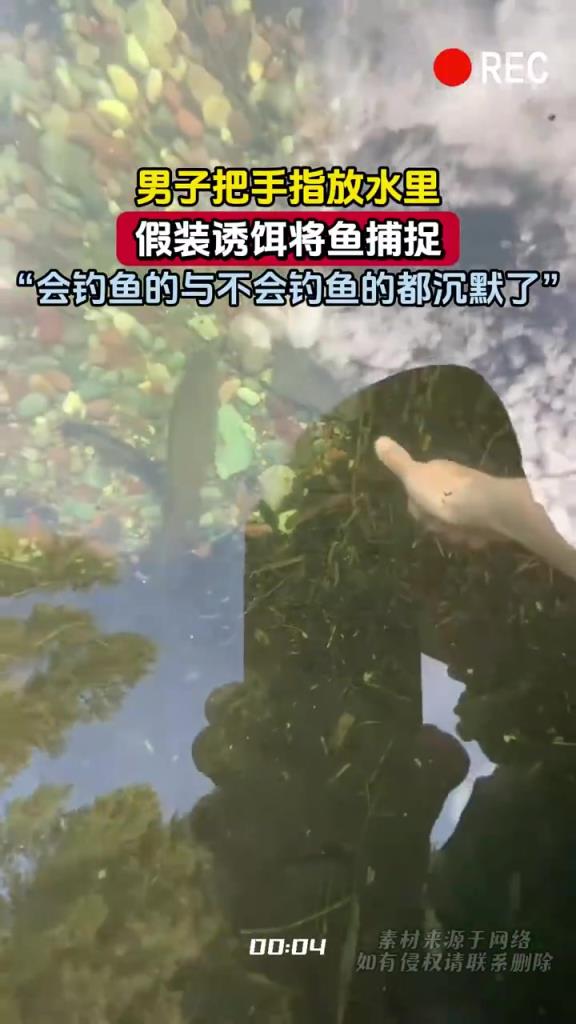 男子手指誘捕魚引爭議：“會釣和不會釣的都沉默了”