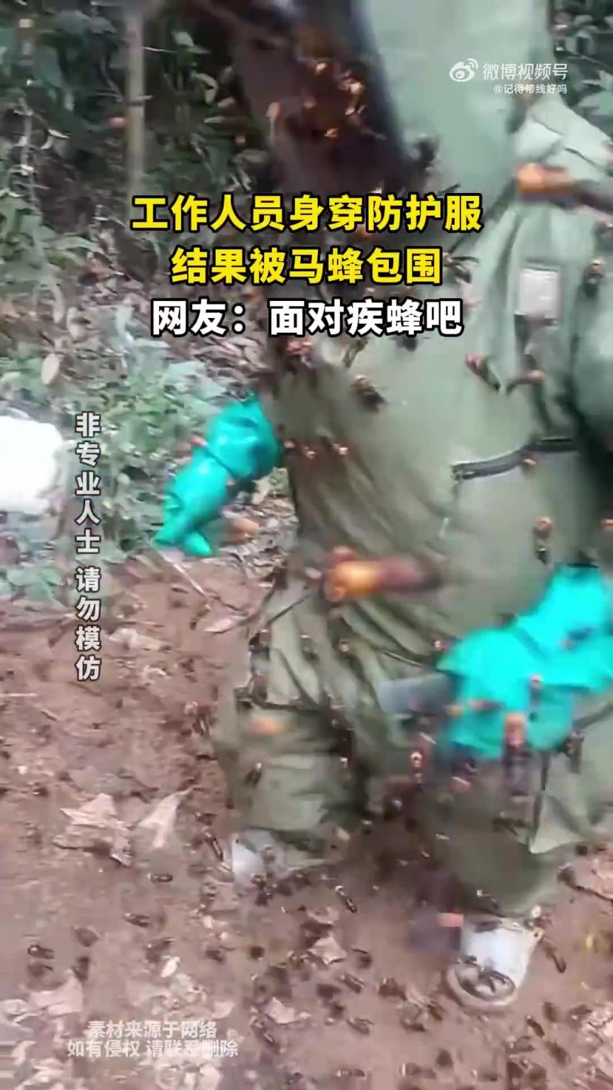 工作人員身穿防護(hù)服，結(jié)果被馬蜂包圍，網(wǎng)友：面對疾蜂吧