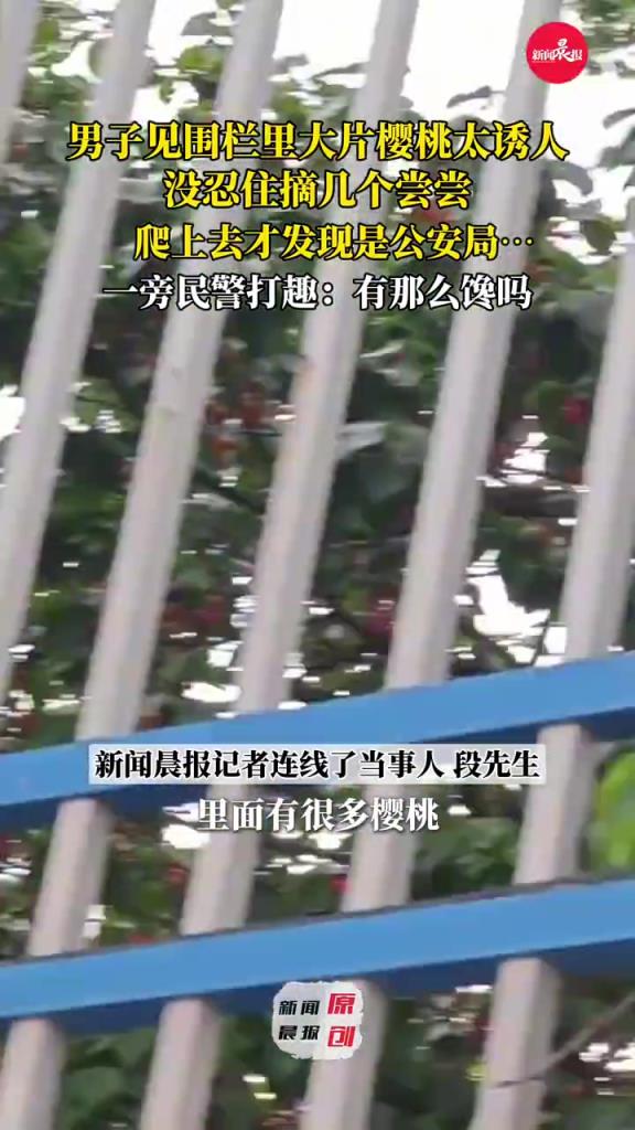 男子眼饞圍欄外的櫻桃摘后才看清：是公安局的
