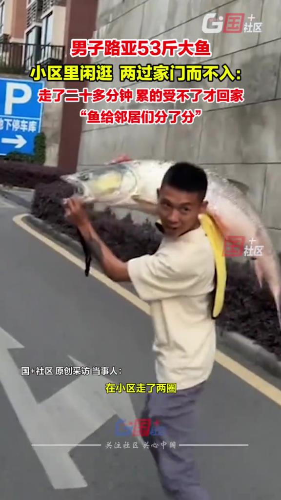 男子路亞53斤大魚 小區(qū)里壓馬路 兩過家門而不入