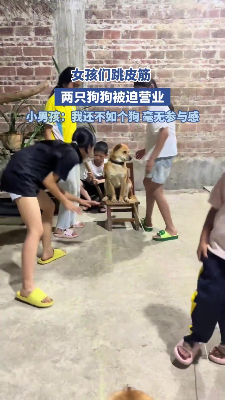 女孩們跳皮筋，兩只狗狗被迫營業(yè)