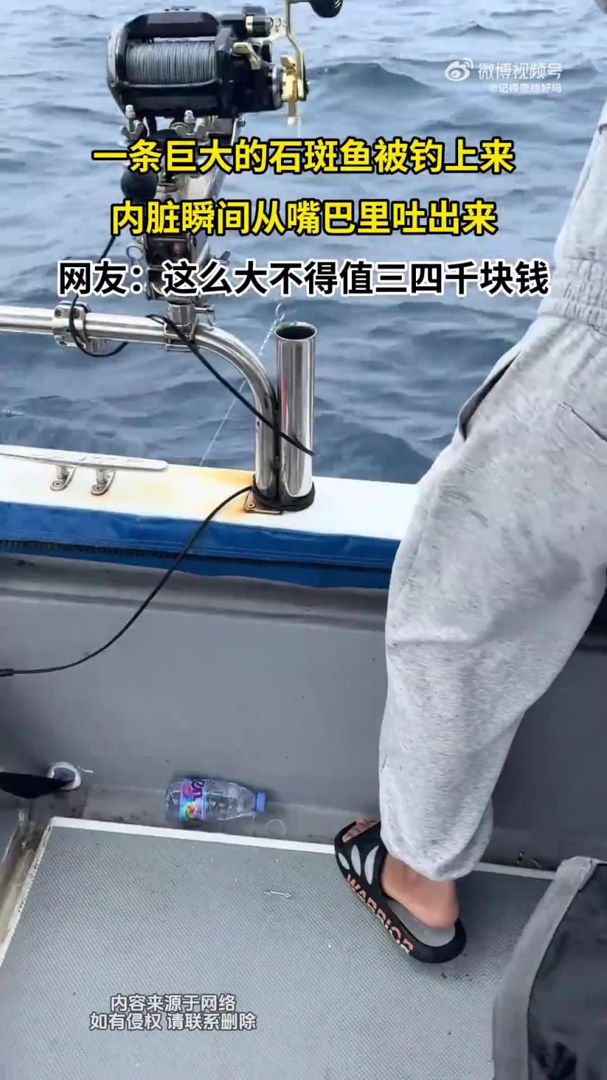 一條巨大的石斑魚被釣上來，內(nèi)臟瞬間從嘴巴里吐出來