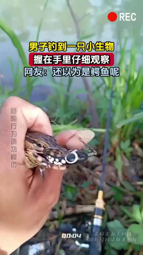 男子釣到一只小生物，握在手里仔細(xì)觀察