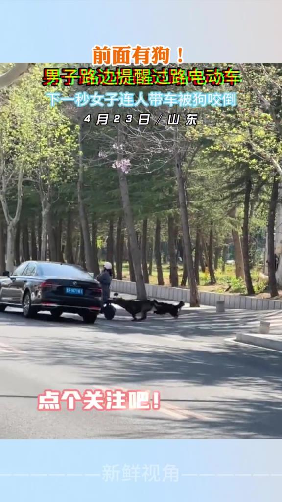 前面有狗！男子路边提醒 下一秒女子连人带车被狗咬倒