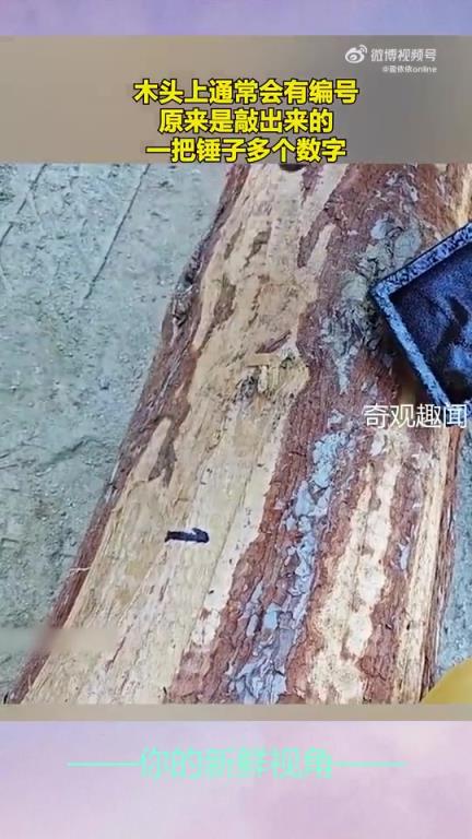 木头上通常会有编号，原来是敲出来的，一把锤子多个数字